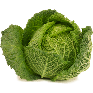 Cabbage PNG image-8821